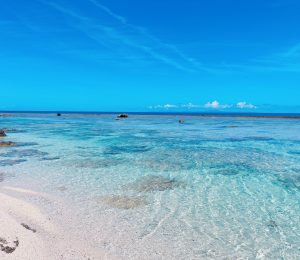 夏の海